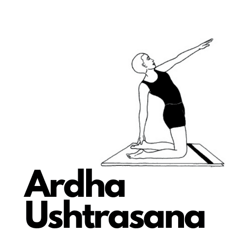 Ardha Ushtrasana