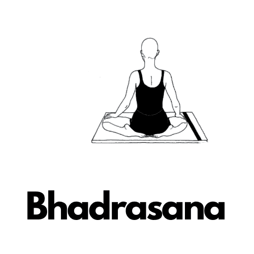 Bhadrasana