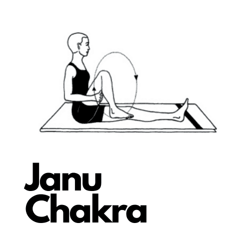 Janu Chakra