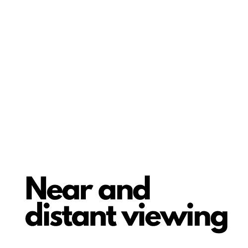 Near and distant viewing