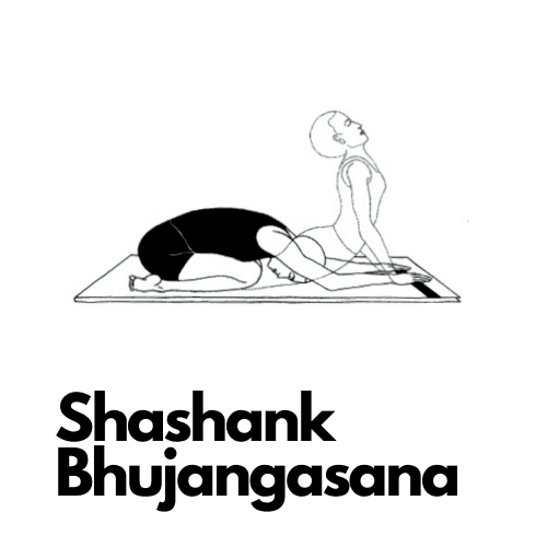 Shashank Bhujangasana