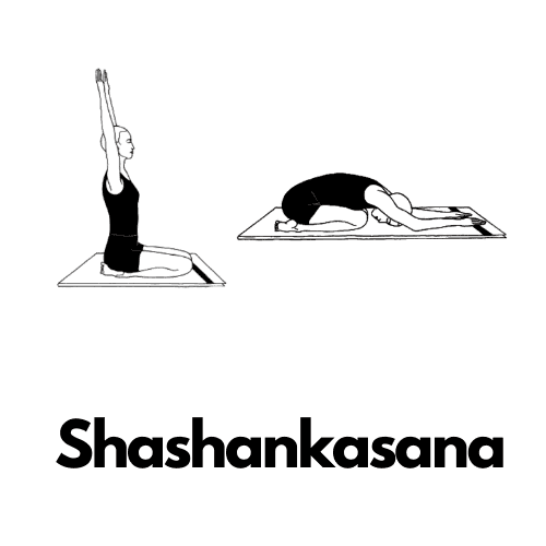 Shashankasana