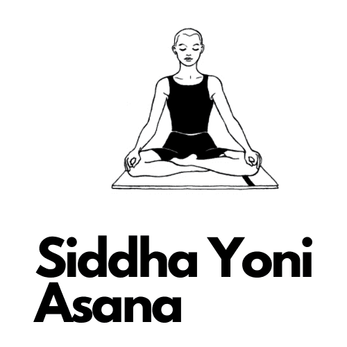 Siddha Yoni Asana