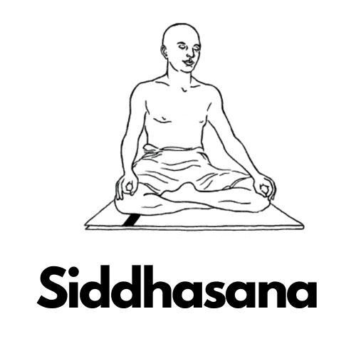 Siddhasana