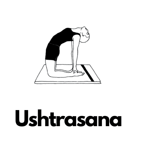 Ushtrasana