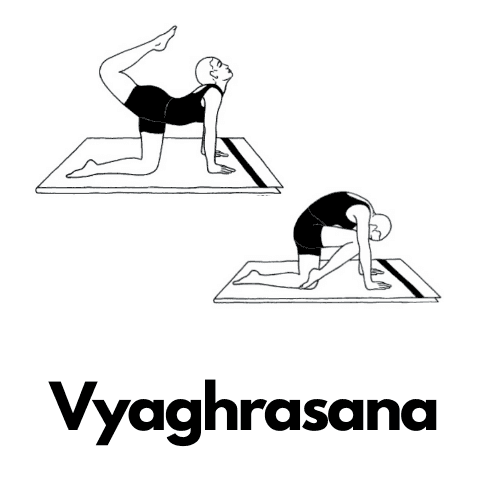 Vyaghrasana